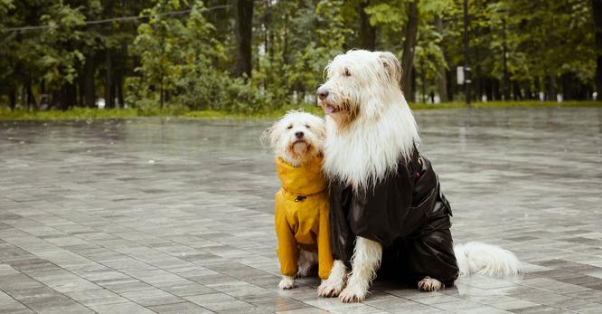 六年级学习计划如何让你的成绩突飞猛进