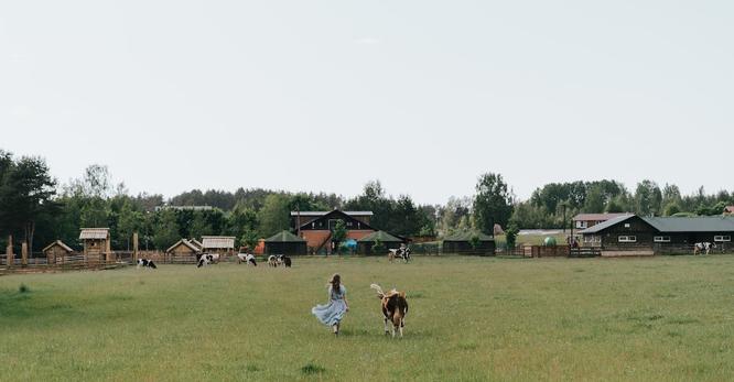 交通事故律师维护交通参与者的权益