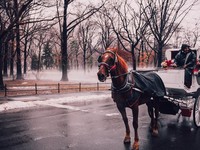 学习计划表格app提升学习效率的有效工具