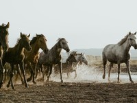 律师在线咨询免费让法律问题轻松解决