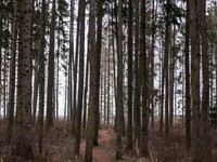 初中生物知识点总结细胞结构遗传进化与生态学