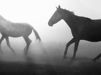 律师咨询费用标准因律师而异 客户应根据自身需求和预算选择律师