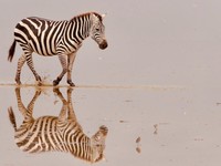 经济纠纷律师费标准按照法律规定进行收取