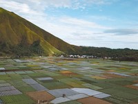 烹饪期末总结回顾与展望