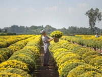 工伤认定程序依法保障劳动者权益