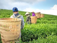 节约用水我们每个人的责任